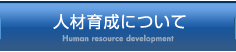 人材育成について